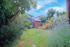 Photo 9- click for photo gallery